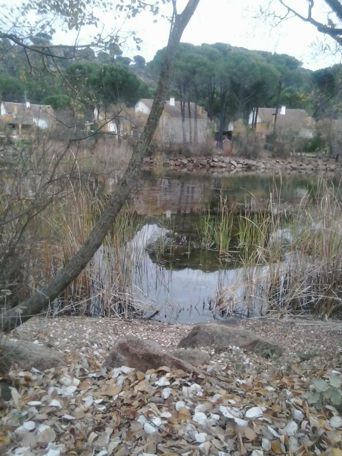 Villa Rosa Amparo Kordoba Bagian luar foto